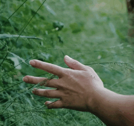 mano acariciando hierba, cuidado naturaleza