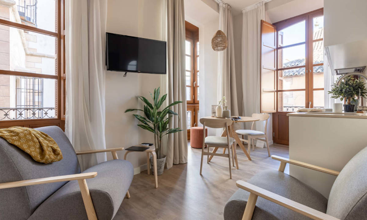 Salón y sala de estar en apartamento coliving