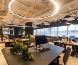 Amplio espacio de oficina con iluminación natural y artificial sobre los puestos de trabajo