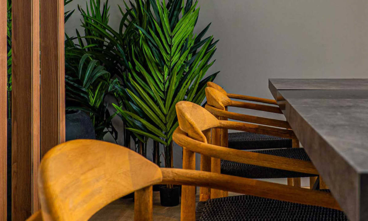 Rincón de oficina decorado con selección de plantas 