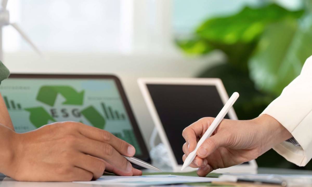 Proyecto sostenible para oficina Design&Build