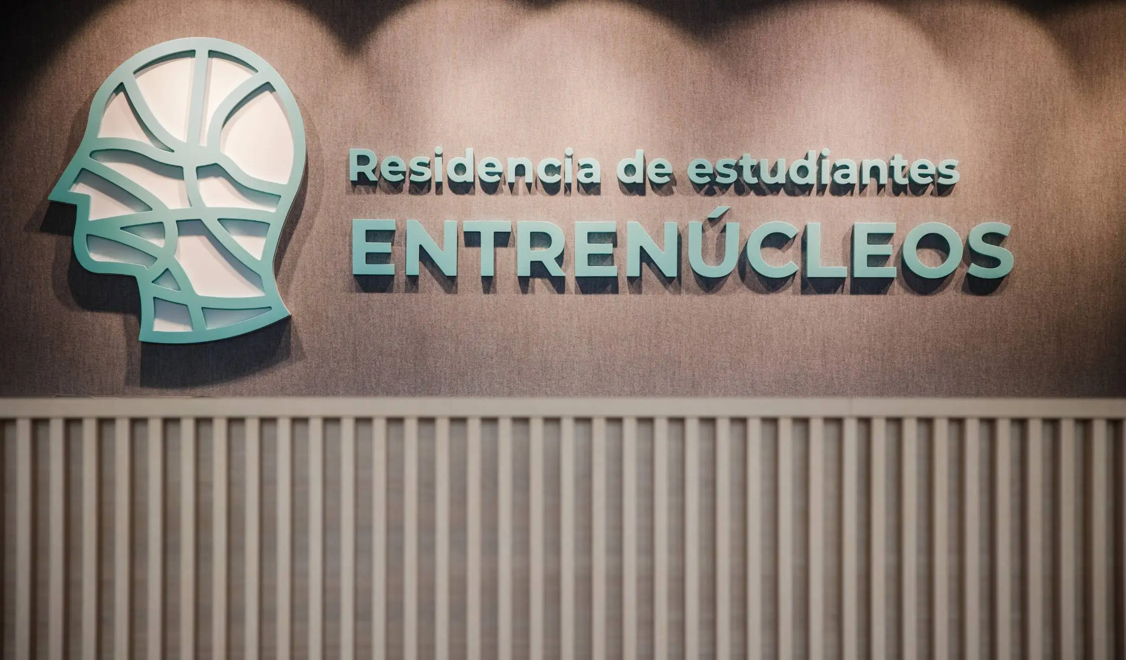 Rotulación en madera y listonado de carpintería a medida en recepción y hall de entrada