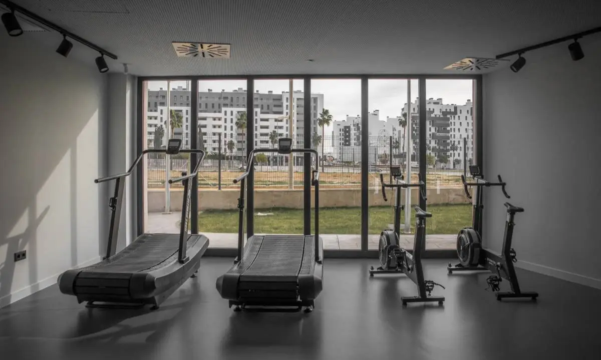 Espacio de gimnasio con equipamiento técnico y ventanal hacia jardín
