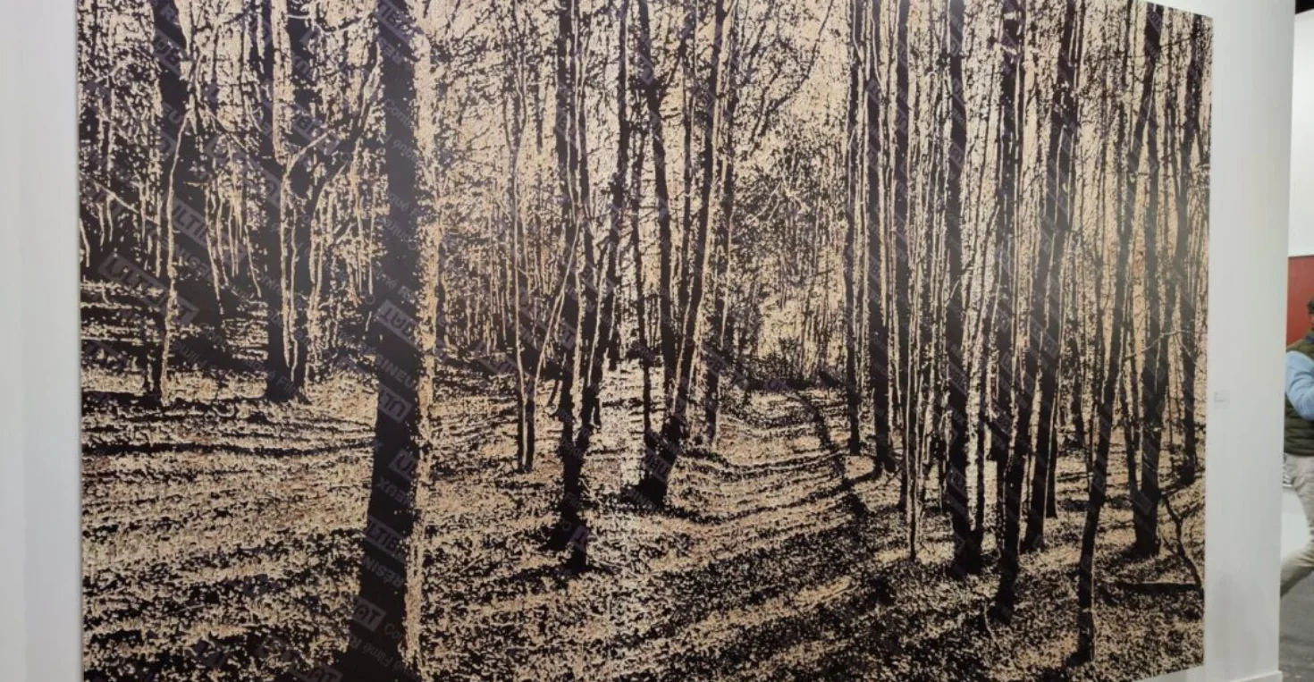 Cuadro en colores oscuros visto en ARCOmadrid 2026